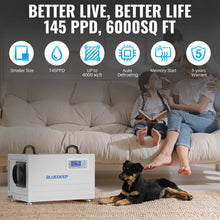 Bluedeep DK145 - 145 Pints Auto Defrost Commercial Dehumidifier with Drain Hose for 6000 ft² Basement