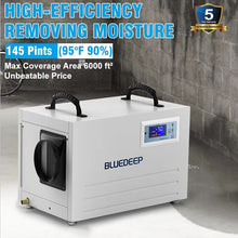 Bluedeep DK145 - 145 Pints Auto Defrost Commercial Dehumidifier with Drain Hose for 6000 ft² Basement