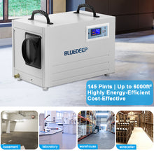 Bluedeep DK145 - 145 Pints Auto Defrost Commercial Dehumidifier with Drain Hose for 6000 ft² Basement