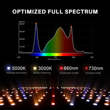 2025 Spider Farmer 2x2 Complete Grow Tent Kit丨SF1000 301H EVO Full Spectrum LED Grow Light丨6” Clip Fan丨4” Ventilation System with Temperature Humidity Controller