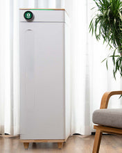 Abby Grow Box