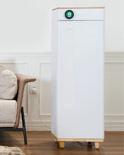 Abby Grow Box