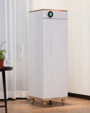 Abby Grow Box