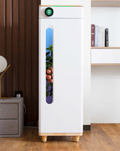 Abby Grow Box