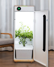 Abby Grow Box