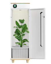 Abby Grow Box