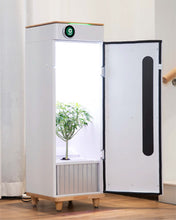 Abby Grow Box