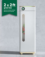 Abby Grow Box