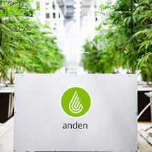 Anden A320V1 Dehumidifier 240V
