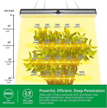 Mars Hydro SP 6500 Samsung LM301B OSRAM 650W CO2 Greenhouse LED Grow Light