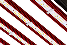 PHOTONTEK XT 1000W CO2 PRO LED