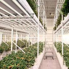 Mars Hydro Smart FC8000 Samsung LM301B Commercial 800W LED Grow Light