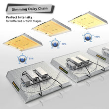Mars Hydro TSW 2000 Full Spectrum Dimmable 300W LED Grow Light