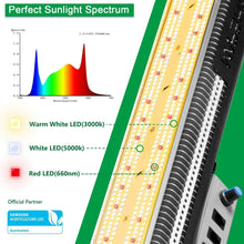 Mars Hydro SP 3000 Samsung LM301B OSRAM 300W LED Grow Light