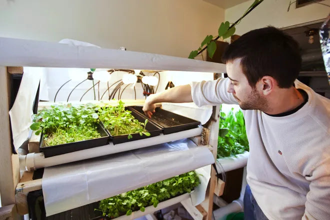 Hydroponic Nutrients for Indoor Growing: A Beginner's Guide to Thriving Plants