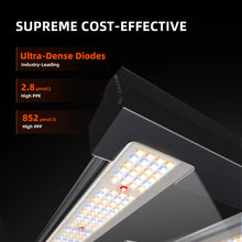 2025 Spider Farmer G3000 300W WiFi & Bluetooth App-Controlled Dimmable Cost effective Full Spectrum LED Grow Light for 3X3 Grow Tent