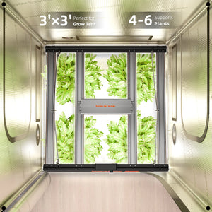 2025 Spider Farmer G3000 300W WiFi & Bluetooth App-Controlled Dimmable Cost effective Full Spectrum LED Grow Light for 3X3 Grow Tent