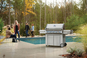 Napoleon Built-in Prestige PRO 500 Natural Gas Grill Head with Infrared Rear Burner, Stainless Steel