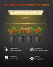 2025 Newest Version Spider Farmer SF300 33W Led Grow Light For Veg