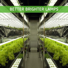 VIVOSUN 6500K T5 HO Fluorescent Grow Light Fixture 4FT 6 Lamp