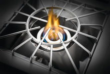 Napoleon Built-In 700 Series 18" Power Burner Natural Gas, Stainless Steel