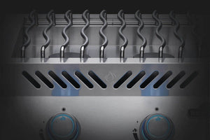 Napoleon Built-In 700 Series 18" Dual Range Top Burner Propane, Stainless Steel
