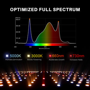 2025 Spider Farmer 4x4X6.5 Complete Grow Tent Kit丨SF4000 301H EVO Full Spectrum LED Grow Light丨6” Clip Fan丨6” Ventilation System with Speed Controller