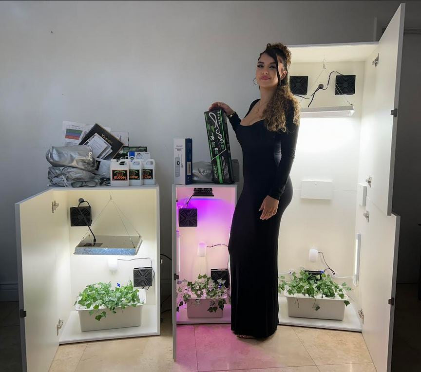 Perpetual Harvest 2.0 - 30 Plant Hydroponics Grow Box Combo