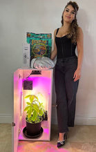 Cash Crop (Soil Grow Box) 2.0 Edition - 1 Plant