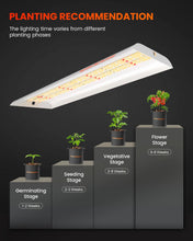 2025 Newest Version Spider Farmer SF300 33W Led Grow Light For Veg