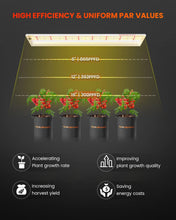 2025 Newest Version Spider Farmer SF600 Vegetable Led Grow Lights