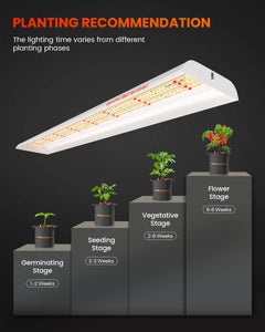 2025 Newest Version Spider Farmer SF600 Vegetable Led Grow Lights