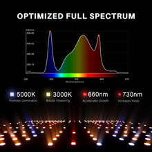 2025 Spider Farmer 2x4 Complete Grow Tent Kit丨SF2000 301H EVO Full Spectrum LED Grow Light丨6” Clip Fan丨4” Ventilation System with Speed Controller