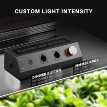 2025 Spider Farmer 2x4 Complete Grow Tent Kit丨SF2000 301H EVO Full Spectrum LED Grow Light丨6” Clip Fan丨4” Ventilation System with Speed Controller