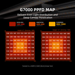 2025 Spider Farmer G7000 730W WiFi & Bluetooth App-Controlled Dimmable Cost effective Full Spectrum High Yield LED Grow Light for 4X4 / 5X5FT Grow Tent