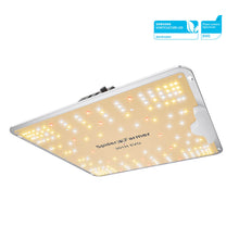 Spider Farmer SF1000 100W Samsung LM301H EVO LED Grow Light For 2×2’/3×3′ - Your Grow Depot