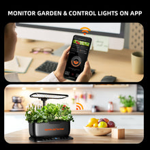 2025 Spider Farmer SmartG12 Hydroponic Gardening System Kit, APP and Wifi Controlled, 36W LED Grow Light,12 Pods Indoor Herb Garden, 6L Water Tank