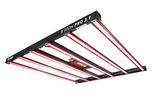PHOTONTEK X 600W PRO 3.1 LED