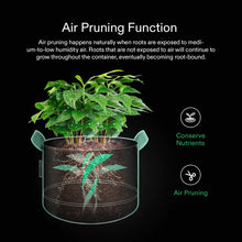 VIVOSUN GIY 2 x 2 ft. Basic Grow Kit with VS1000 LED Grow Light, 4-Inch 203 CFM Air Filtration Combo, 24" x 24" x 48"