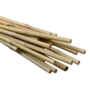 5' Natural Bamboo Stakes Bulk (250/bale)