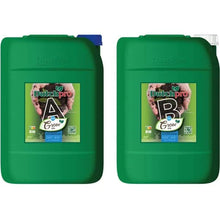 Dutchpro Base Feed Grow Soil A+B (1 ea) - Soft Water (RO/SO)