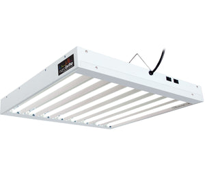 Agrobrite T5 2Ft 8 Tube Fixture w/Bulbs