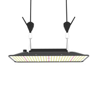 BAYLABS X-MAN 1000 Quantum Grow Light