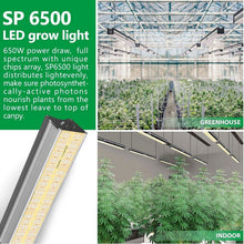 Mars Hydro SP 6500 Samsung LM301B OSRAM 650W CO2 Greenhouse LED Grow Light