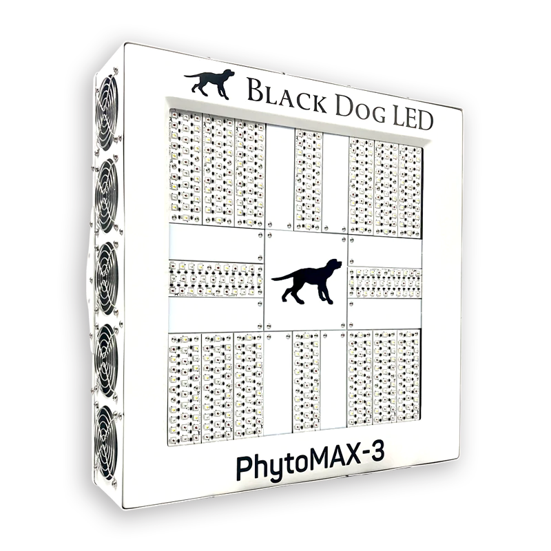 Phytomax 800 on sale