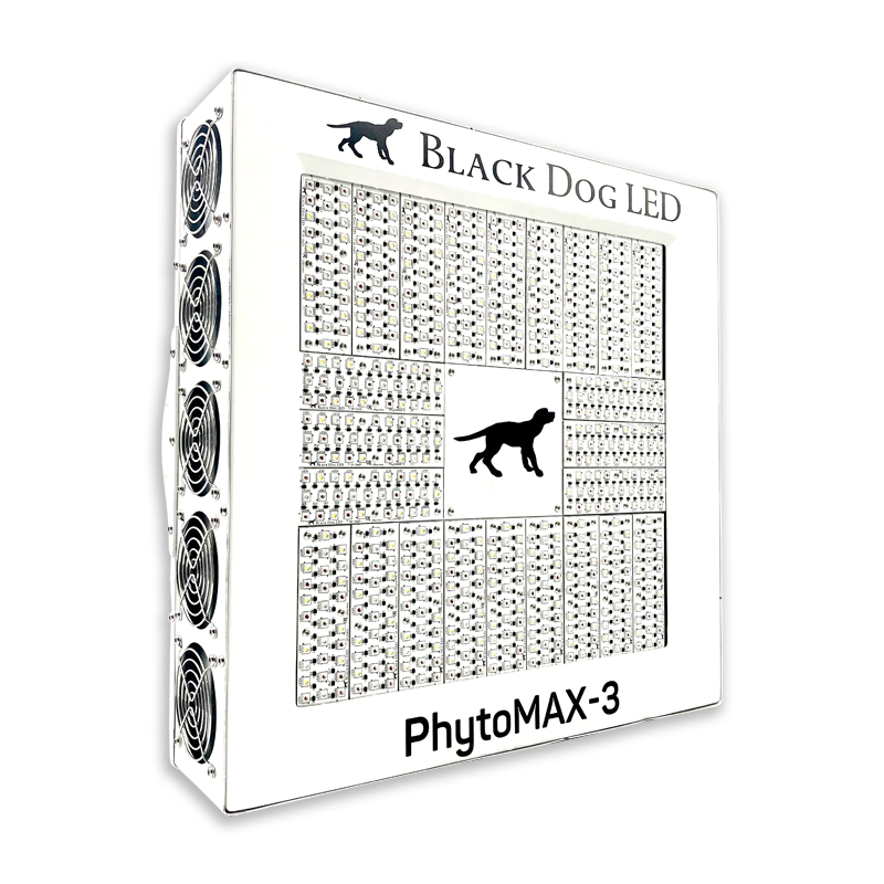 Black dog phytomax hot sale