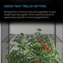 AC Infinity Grow Tent Trellis Netting, Flexible Elastic Cords, 4X4'
