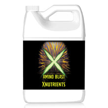 X Nutrients Amino Blast