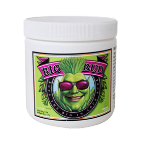Advanced Nutrients - Big Bud - Powder