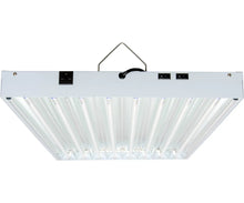 Agrobrite T5 432W 4' 8-Tube Fixture with Lamps, 240V